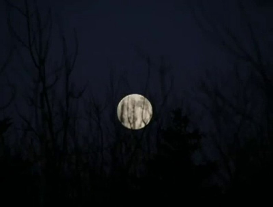 Đorđe Balašević - Čovek sa mesecom u očima