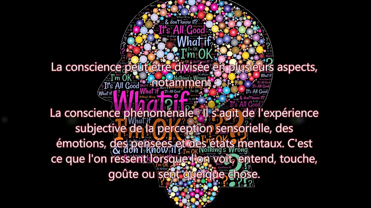 Décryptage de la Conscience : Le Pouvoir de l'Être