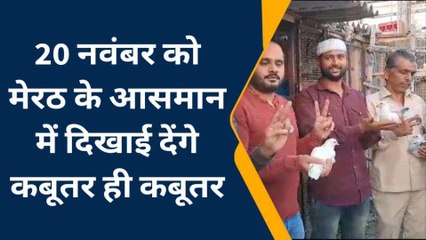20 नवंबर को मेरठ के आसमान में दिखाई देंगे कबूतर ही कबूतर, जानिए मामला