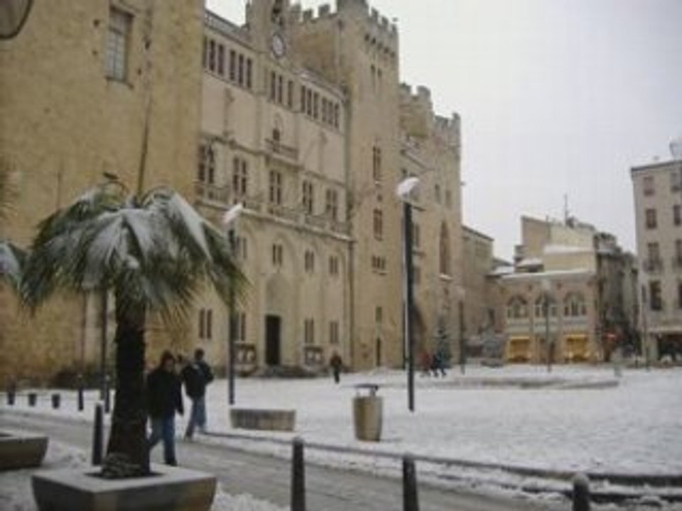 IUP Narbonne 2007 - Le Film