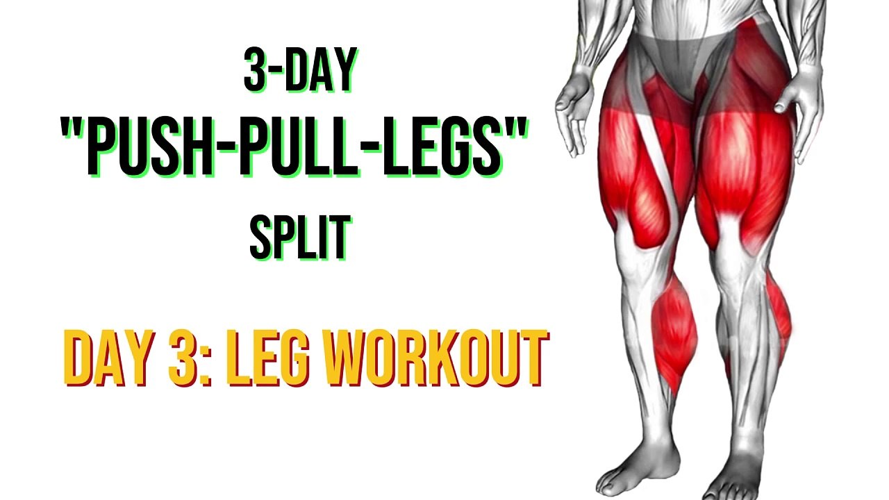 3-Day PPL Workout Routine. Day 3- Legs Workout