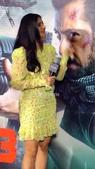 Tiger Scarf Gifted by Salman Khan to Katrina Kaif: A Special Gesture