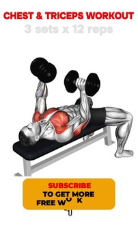 Chest and Triceps Workout Shorts #chestworkout #tricepsexercises #bodybuilding #shorts #short