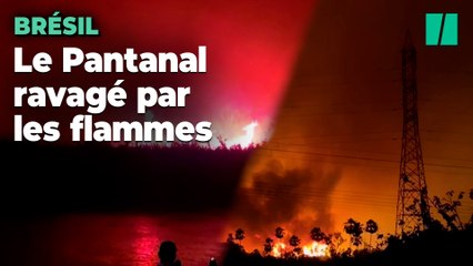 Au Brésil, la plus grande zone humide du monde en proie à des incendies "hors de contrôle"