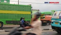 Puluhan Truk Antre Solar hingga Mengular ke Jalan Raya Jalur Trans Sulawesi