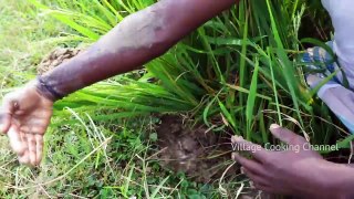 Country CRAB Catching and Cooking in Agricultural land | Primitive Technology | Mud Pot Cooking