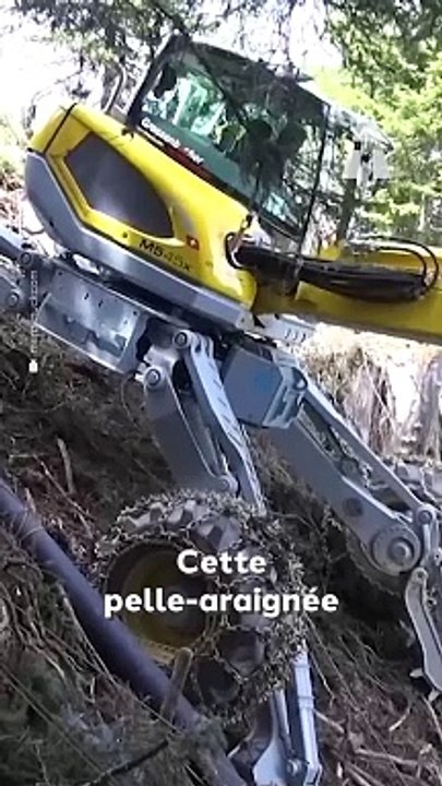 Cette Pelle-Araignée est une Technologie Tout-Terrain ! ️