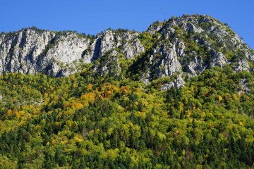 Türkiye’deki tek "Pan Parks": Küre Dağlarında sonbahar manzaraları