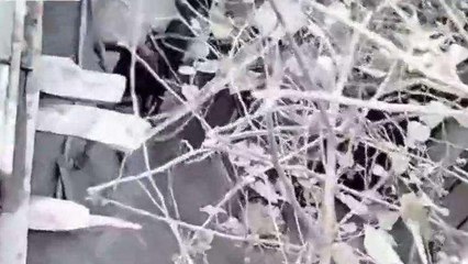बेगूसराय: जमीन विवाद में छत की ढलाई को तोडा, दो पक्षों में तनाव