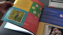 Kuş Gözlemcisi ve Veteriner Hekim Gökçe Coşkun, Hayvan Dostlarımız İçin İlkyardım Rehberi Adlı Çocuk Kitabı Hazırladı
