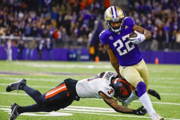 Can Washington Pull Off The Mild Upset? | CFB Week 12