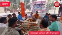 Video: वर्ल्ड कप में जीत के लिए हवन का आयोजन, विमल द्विवेदी ने कहा भारतीय टीम अजेय