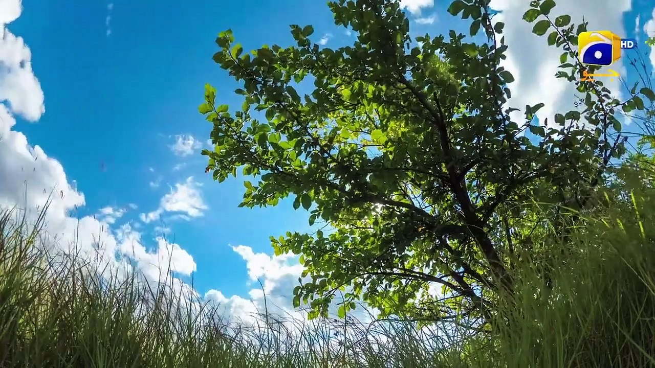 Baylagaam Episode 41 - [Eng Sub] Ali Abbas - Laiba Khan - Haroon Shahid - Tuba Anwar - 17th Nov 2023