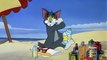 Tom And Jerry - 043 - The Cat And The Mermouse (1949)