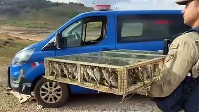 4 mille chardonnerets saisis à Hassa