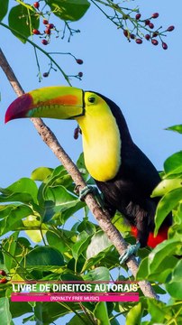 ✅Música calmante para meditação e relaxamento -Tranquilizar corpo e a mente #Shorts