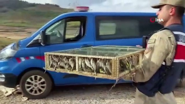 Capturé avec 4 000 oiseaux en danger d'extinction : 5 millions 600 000 TL d'amende