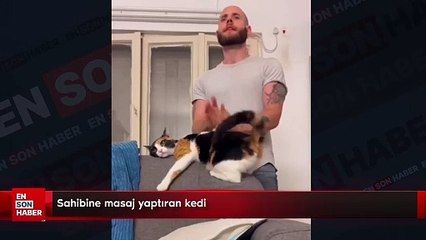 Sahibine masaj yaptıran kedi