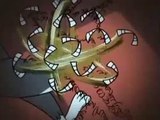 TOM Y JERRY Español latino HD capitulo (31)