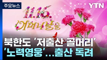 北도 '저출산 골머리'...'노력영웅' 칭호 주며 출산 독려 / YTN
