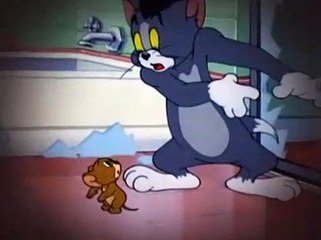 TOM Y JERRY Español latino HD capitulo (103)