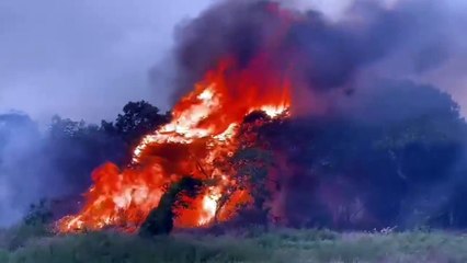 A campanazos imploran ayuda; el fuego se reactivó en el Parque Noel Kempff Mercado