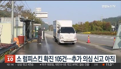 소 럼피스킨 확진 105건으로 늘어…추가 의심신고는 아직