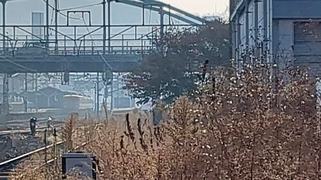 PXL_20231105_083059 1091列車・1091レ