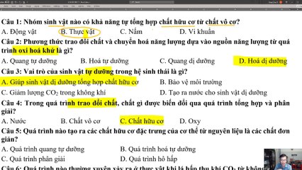 Sinh 11 - Giữa kỳ I Đề 2 2023_2024