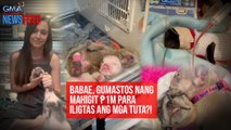 Babae, gumastos ng mahigit P1M para iligtas ang mga tuta?! | GMA Integrated Newsfeed