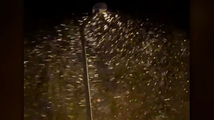 Başkent Ankara’ya mevsimin ilk karı düştü