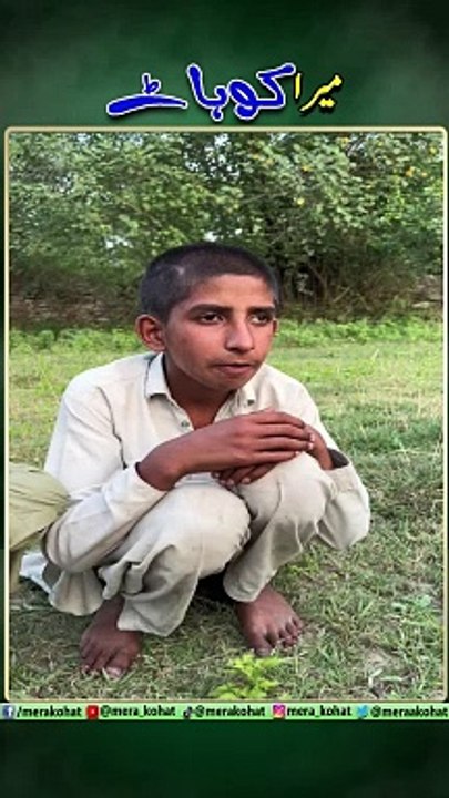 shadi