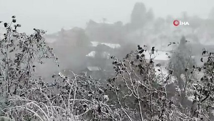 Sakarya'nın yüksek kesimleri beyaza büründü