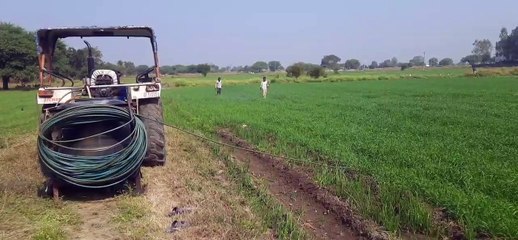 मैदानी इलाकों बुवाई पूरी, नहरी इलाकों में जारी