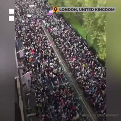 Hundreds of thousands protest in solidarity with Palestine _Newsfeed