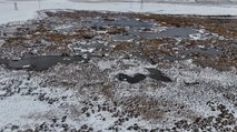 Kasım ayında göl buz tuttu