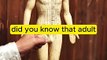 Did You Know - Human Bones | Dailymotion | Facts | FactsOnFire