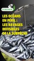 Les océans en péril : Les ravages invisibles de la surpêche