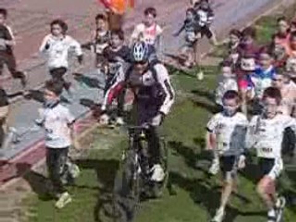 Licence tri 060