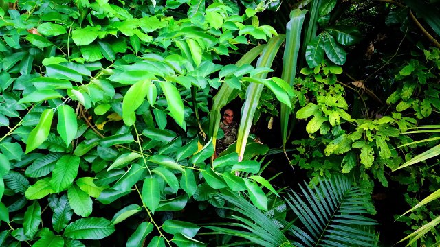 Wer hat die Konfitüre geklaut? Bande-annonce (EN)