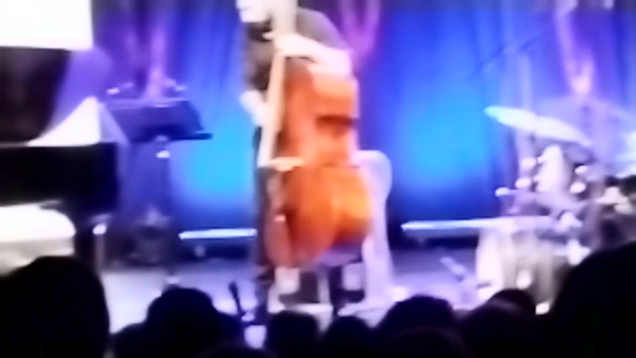 Jazz sound Dedic trio Pianist live