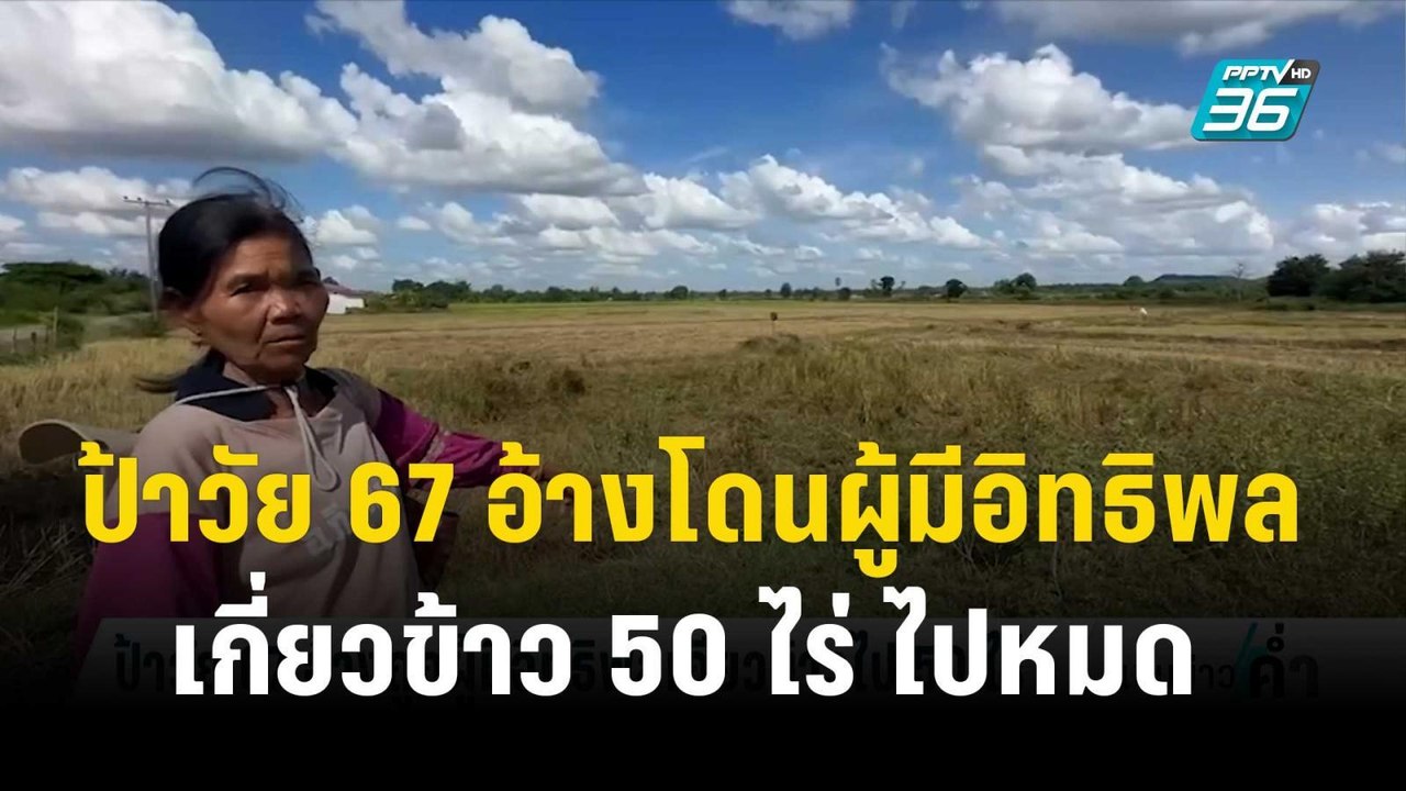 น้ำตาตก! ป้าวัย 67 อ้างโดนผู้มีอิทธิพลเกี่ยวข้าว 50 ไร่ ไปหมด | เข้มข่าวค่ำ |  19 พ.ย. 66