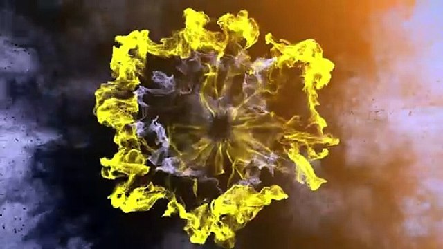 How To Export Orders And Import Them To Another Website In Wordpress Using Woocommerce