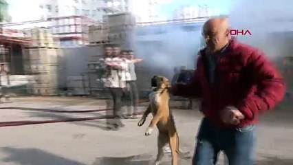 Antalya'da İnşaat İşçilerinin Kullandığı Barakada Yangın Çıktı