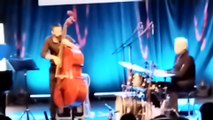 Novi Sad Jazz Festival Matija Dedic Trio