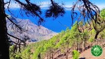 Ruta: Canal de la Presa del Vaquero – Barranco de Los Pinos Dulces.