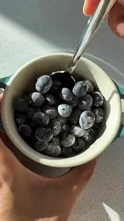 5556096928298