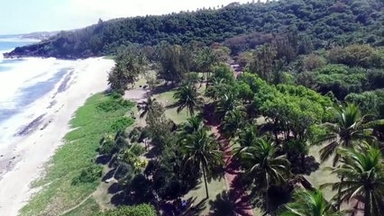 JOEL VIGNE MI VEUX RETOURNER LA BAS  SEGA