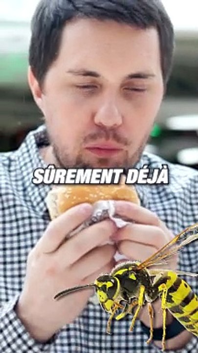 Tu as déjà MANGÉ une GUÊPE sans le savoir