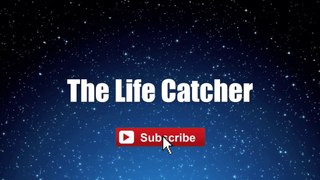 The Life Catcher - Andy Lau ｜ 人生捕手 ｜ Requested ｜ Cantonese ｜ #lyricsvideo #singalong